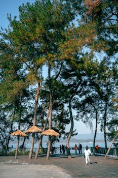  油价大幅攀升引发能源替代效应；煤炭板块强势反弹，煤企市值显著增长；现货煤价淡季回落，市场分化加剧。 股票财经 油价大幅攀升引发能源替代效应；煤炭板块强势反弹，煤企市值显著增长；现货煤价淡季回落，市场分化加剧。 股票财经 油价大幅攀升引发能源替代效应；煤炭板块强势反弹，煤企市值显著增长；现货煤价淡季回落，市场分化加剧。 股票财经