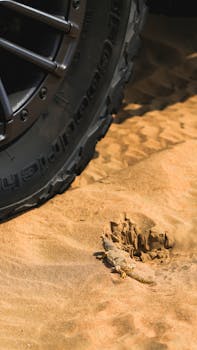  美国能源政策新动向；法国道达尔公司转向石油天然气投资，海上风电项目面临调整。 股票财经 美国能源政策新动向；法国道达尔公司转向石油天然气投资，海上风电项目面临调整。 股票财经 美国能源政策新动向；法国道达尔公司转向石油天然气投资，海上风电项目面临调整。 股票财经 美国能源政策新动向；法国道达尔公司转向石油天然气投资，海上风电项目面临调整。 股票财经