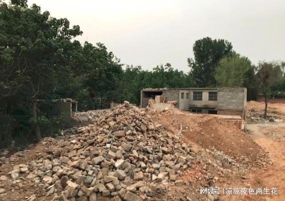 征地维权指南：责令交出土地决定书的合规性审查清单 新闻