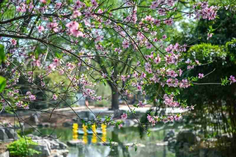  城市流量转化策略：从沉浸式场景构建看文旅增长路径 企业服务