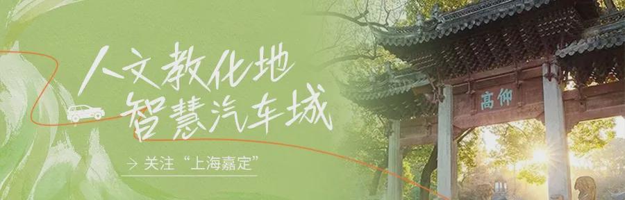  【春日游园指南】嘉定油菜花海探秘与深度打卡攻略 文化旅游