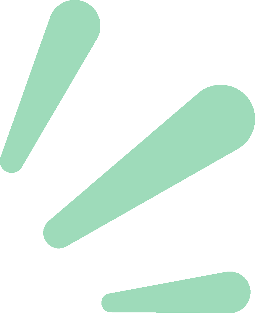  【春日游园指南】嘉定油菜花海探秘与深度打卡攻略 文化旅游