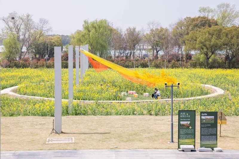  【春日游园指南】嘉定油菜花海探秘与深度打卡攻略 文化旅游