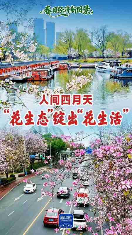  技术驱动下的城市滨水更新：北京北小河“樱花河流”治理方法论 文化旅游