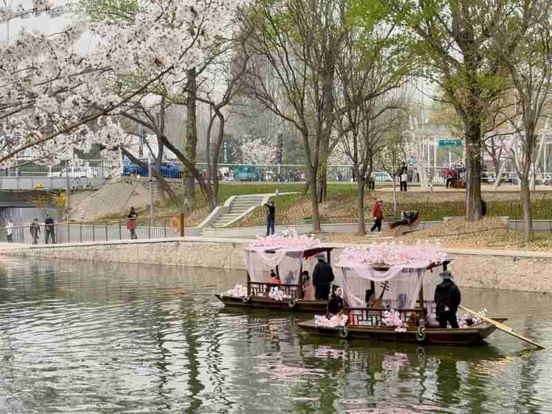  技术驱动下的城市滨水更新：北京北小河“樱花河流”治理方法论 文化旅游