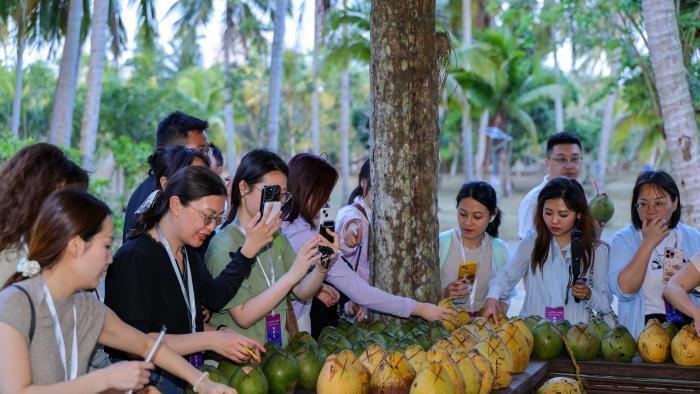  椰子树与椰枣树的对话：海南岛上的绿色外交 文化旅游