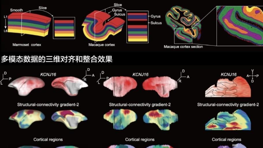  技术深潜·工业AI的底层革命：ManuDrive如何读懂时间、重塑控制 IT技术