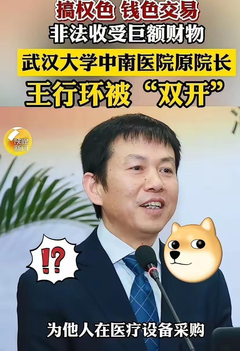  医疗反腐深水区：武汉大学中南医院原院长王行环案件制度性反思 新闻 医疗反腐深水区：武汉大学中南医院原院长王行环案件制度性反思 新闻