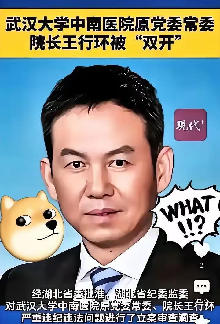  医疗反腐深水区：武汉大学中南医院原院长王行环案件制度性反思 新闻 医疗反腐深水区：武汉大学中南医院原院长王行环案件制度性反思 新闻
