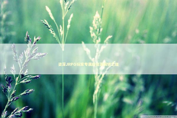 资深JRPG玩家专属的资源解锁之道 游戏攻略