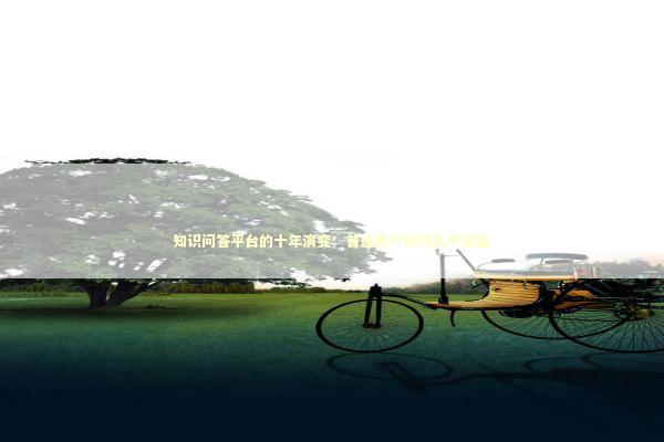 知识问答平台的十年演变：普通用户如何从中受益 IT技术