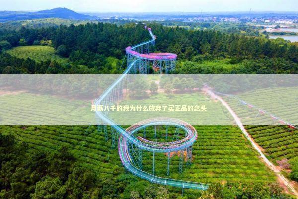 月薪八千的我为什么放弃了买正品的念头 时尚用品