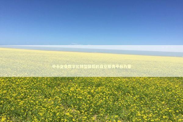 中小企业数字化转型背后的商业服务平台力量 企业服务