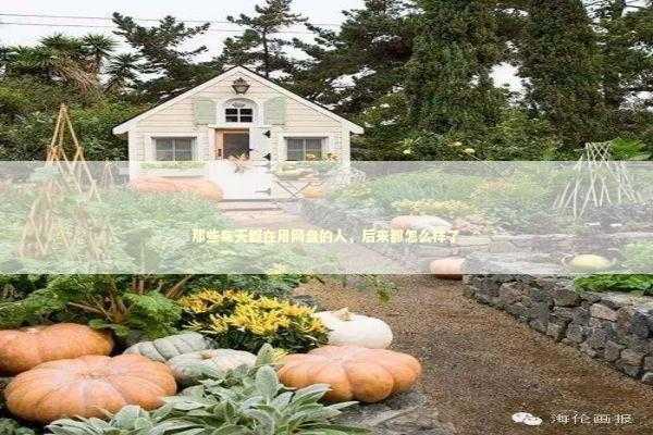 那些每天都在用网盘的人，后来都怎么样了