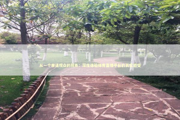 从一个普通观众的视角：深度体验体育直播平台的真实感受 体育新闻