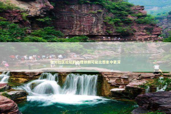 你对社区论坛的心理依赖可能比想象中更深