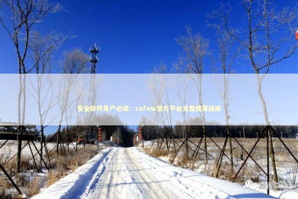 安全软件用户必读：safew官方平台完整使用指南
