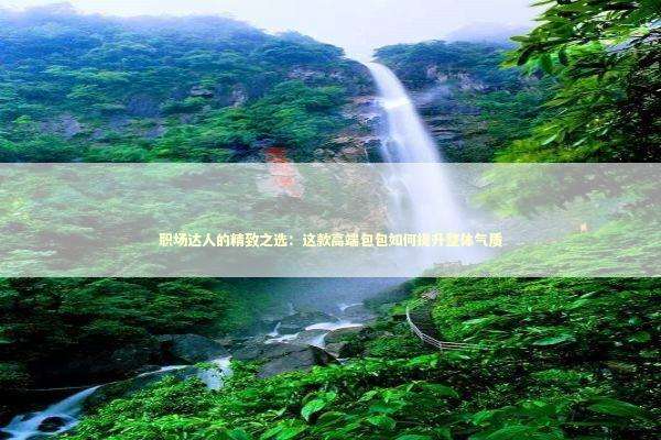 职场达人的精致之选：这款高端包包如何提升整体气质