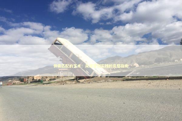 供需匹配的艺术：从原理到实践的完整指南 企业服务